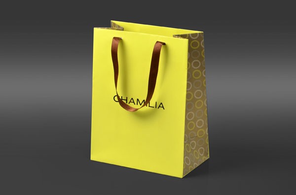 Paper bag